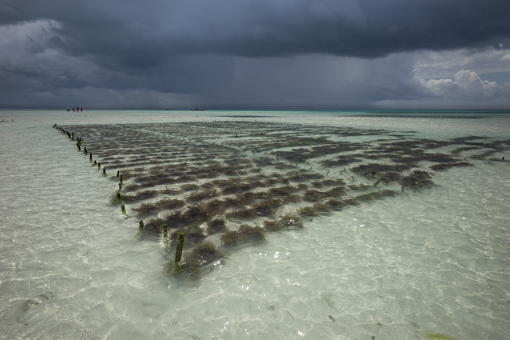 Platz 6 Michael Mayer